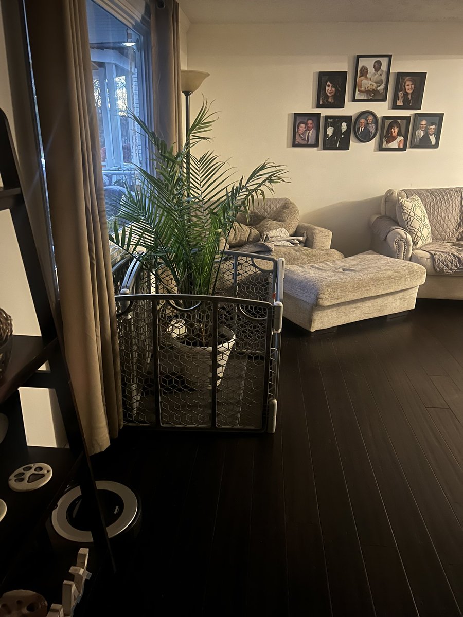 homesick shower curtain (@punkpng) on Twitter photo 