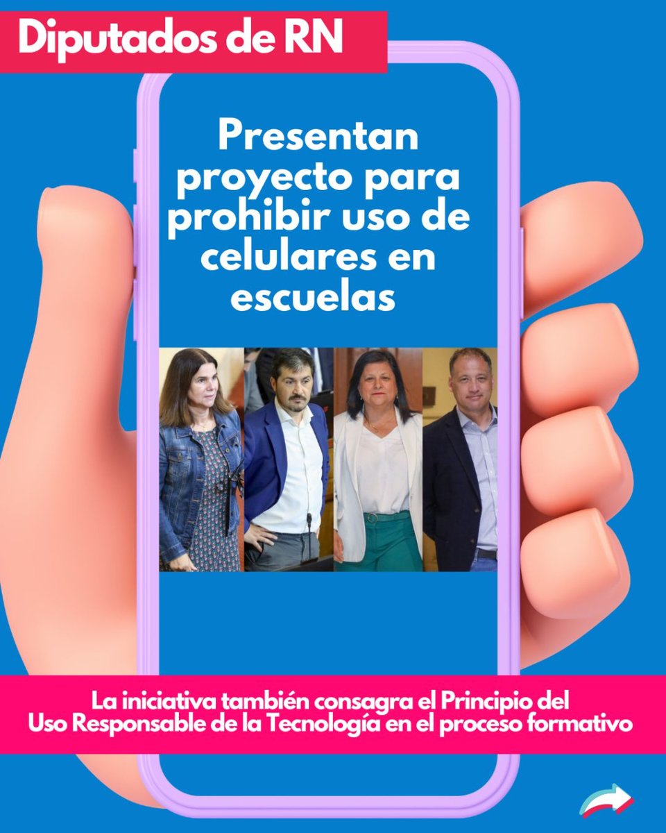 Diputados RN tweet media