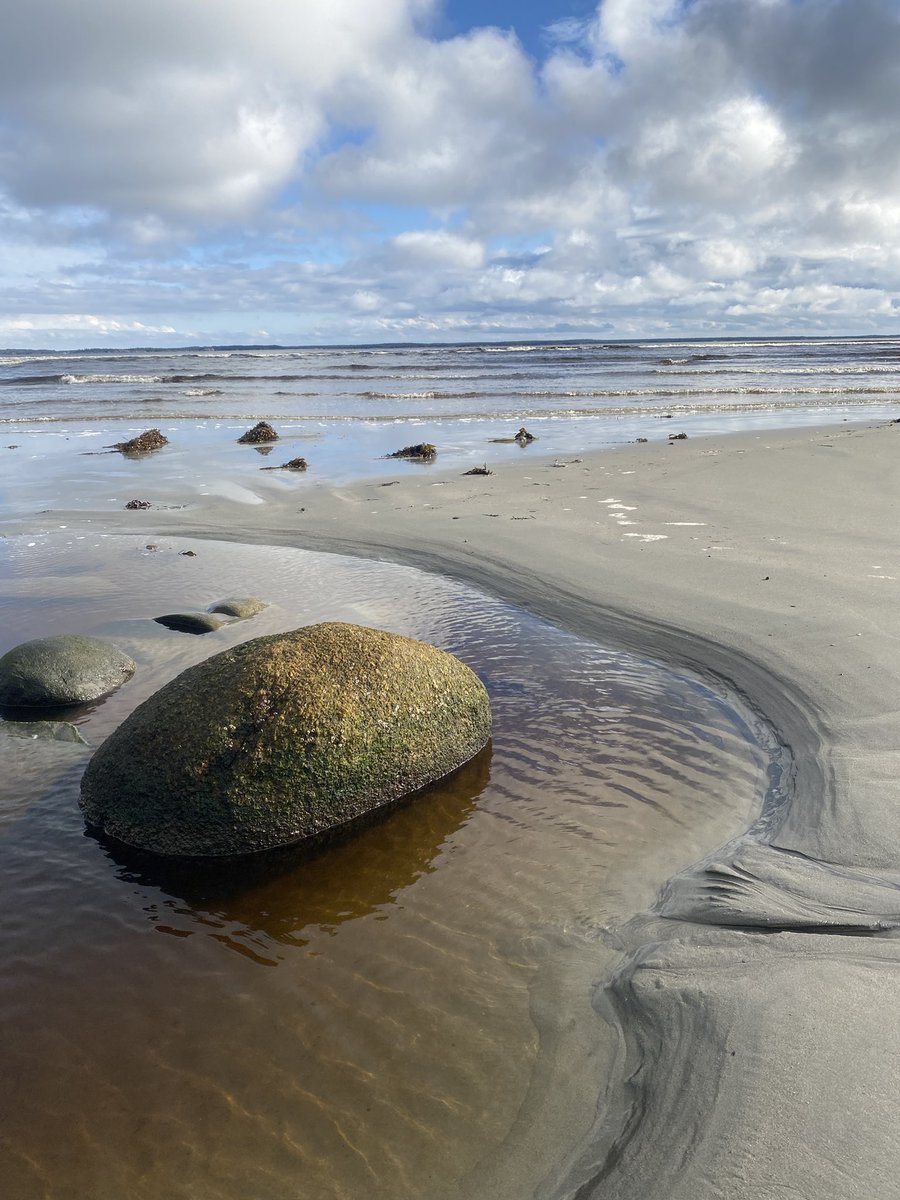 grainsoflife's tweet image. #nosurf