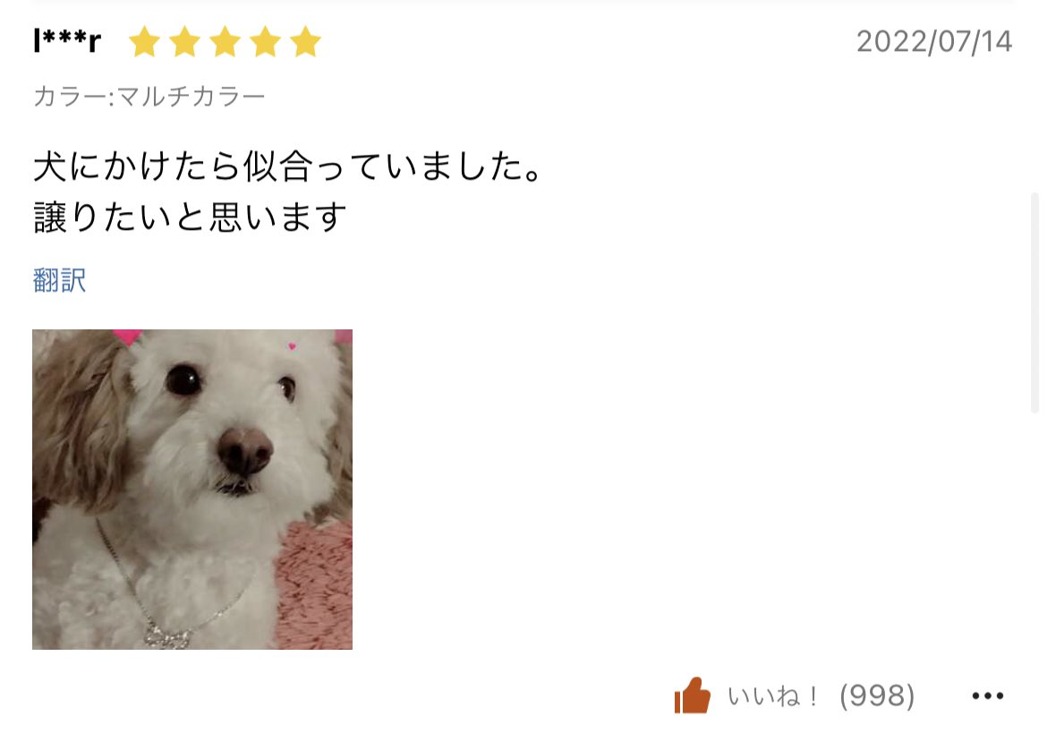 いっしー (@isssssie) / X