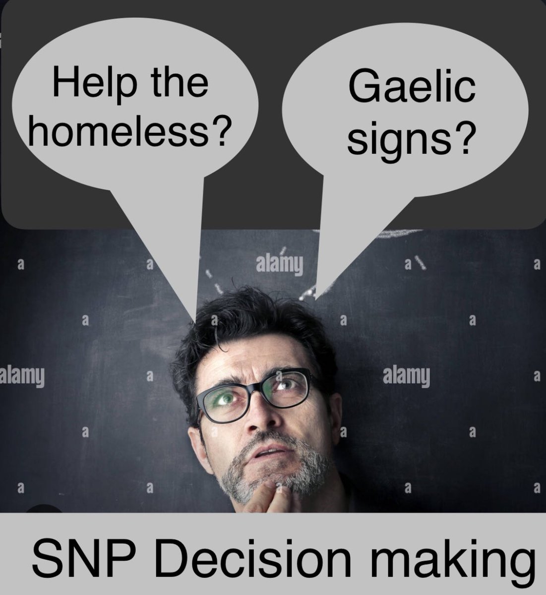 The Tortoise Returns 💎🐢🐢🐢🐢🐢🐢🐢🐢🐢 tweet media