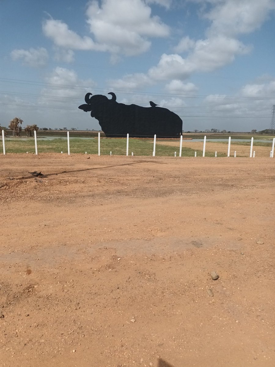 𝘼𝙇𝙀𝙅𝘼𝙉𝘿𝙍𝙊 𝙍𝙄𝙑𝙀𝙍𝙊 tweet media