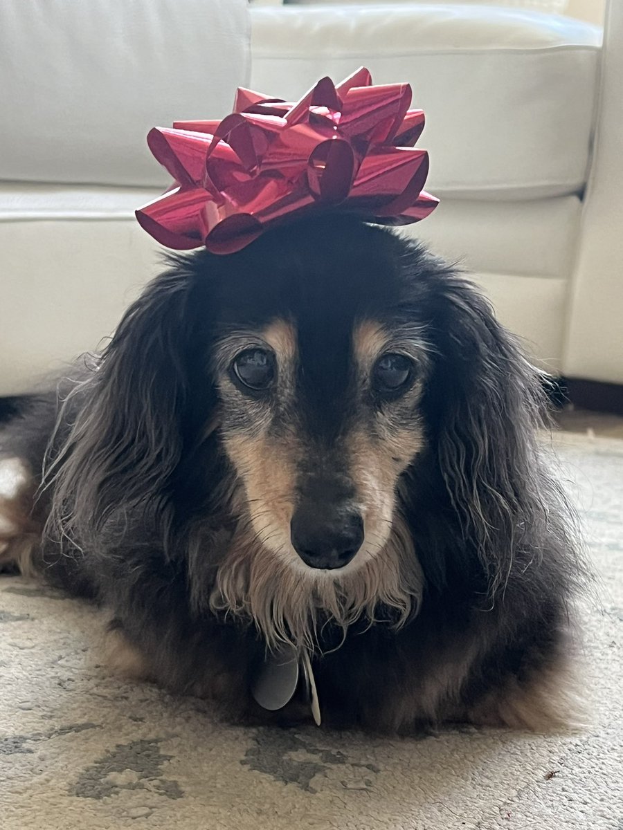 jonbaker1968's tweet photo. Daisy’s 18th Christmas https://t.co/IbP3aVBdVz