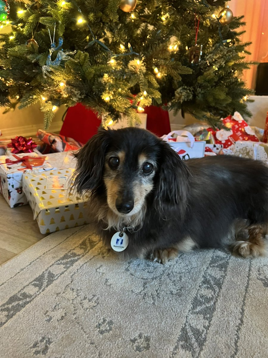 jonbaker1968's tweet photo. Daisy’s 18th Christmas https://t.co/IbP3aVBdVz