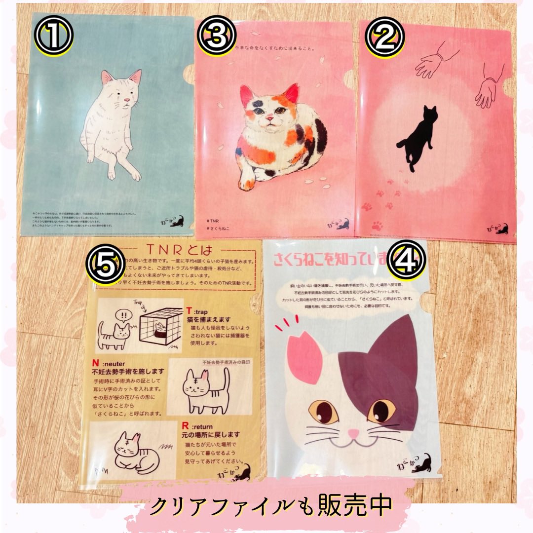nekokatsu_1's tweet photo. onlineshopでクリアファイルも販売中！

数量「1」で2枚セット¥500

①〜⑤の5種類の中から
ご希望のクリアファイル2つを
購入画面の「備考欄」へご記入下さい
(「①、③」…等)

ボラさんデザインの
可愛いオリジナルグッズです😄

#ねこかつ #保護猫 #保護猫カフェ #里親募集 #川越 #日進 #猫グッズ https://t.co/c2fXbWAiyY