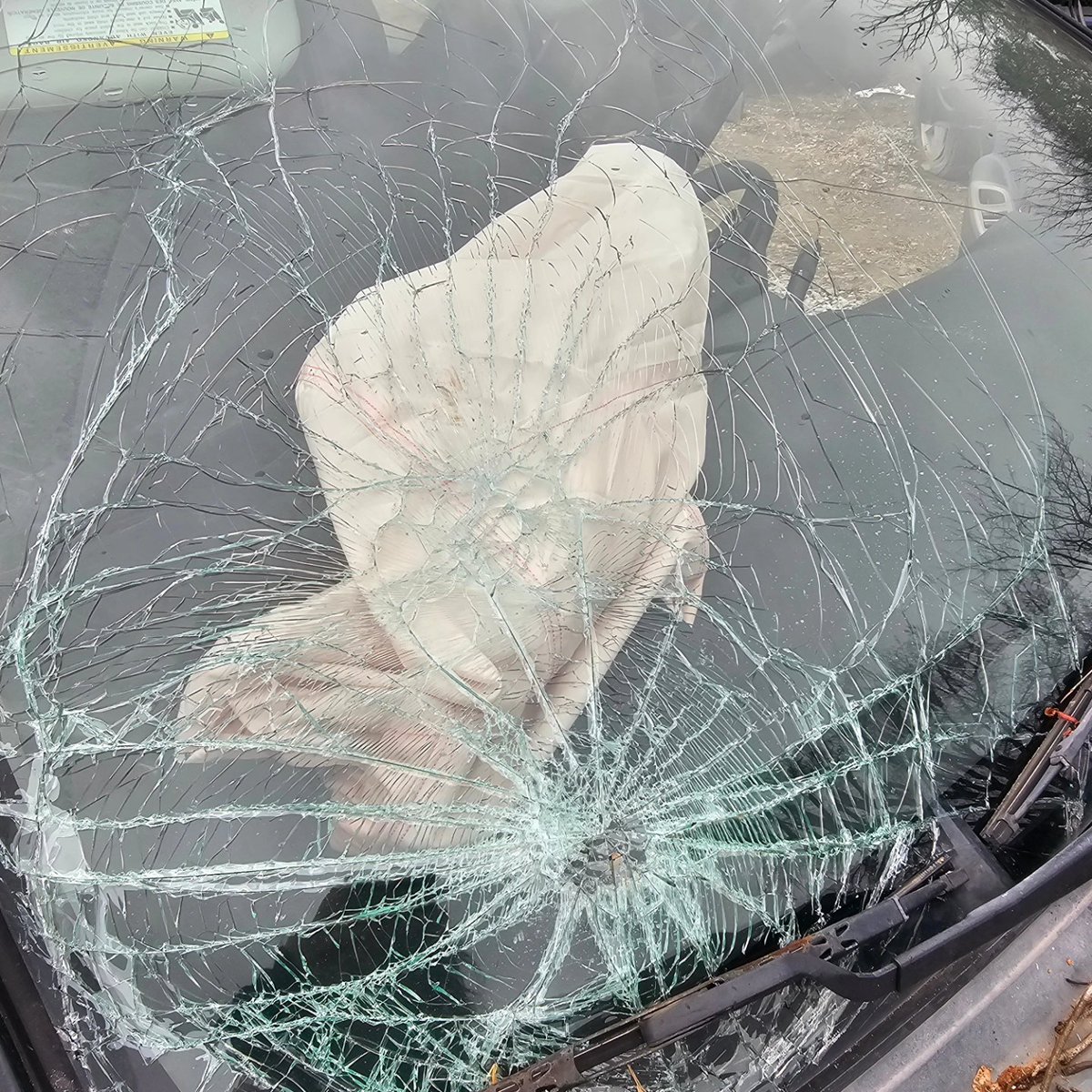 OctaviaDaze's tweet photo. For everyone asking, me and my friend are both okay. We are just super sore, and pains in some places. Nothing broken luckily and no major bodily injuries. My car is totalled. I can't really explain what happened because I truly don't know. I went head first into a tree. https://t.co/WGFFkH1cQF