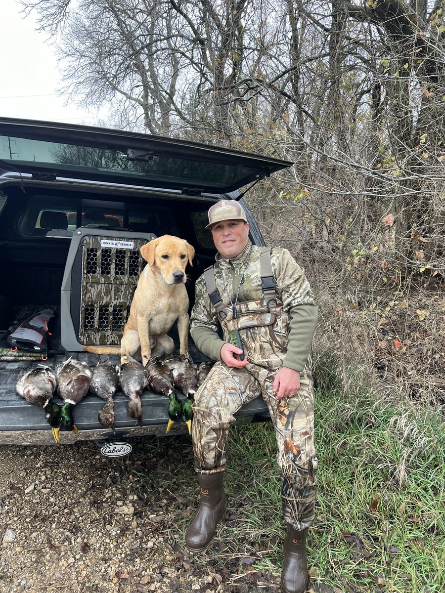 TylerOsborn27's tweet photo. Sam has done an awesome job so far on first duck/goose season. Thanks again @BarAKennels for such an amazing pup.  If anyone out there is looking for a lab pup I would highly recommend Doug at Bar A Kennels https://t.co/9YlWGqcOCy
