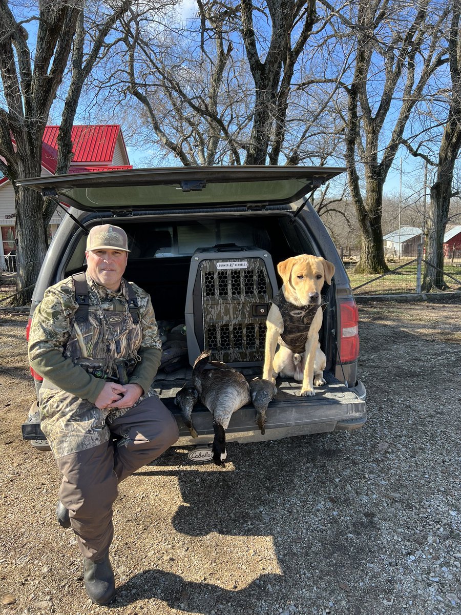 TylerOsborn27's tweet photo. Sam has done an awesome job so far on first duck/goose season. Thanks again @BarAKennels for such an amazing pup.  If anyone out there is looking for a lab pup I would highly recommend Doug at Bar A Kennels https://t.co/9YlWGqcOCy