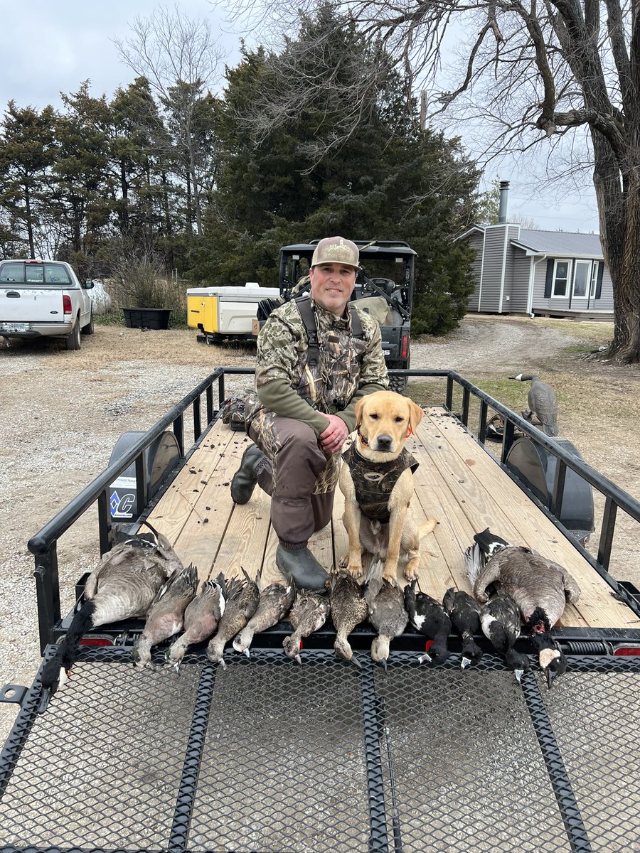 TylerOsborn27's tweet photo. Sam has done an awesome job so far on first duck/goose season. Thanks again @BarAKennels for such an amazing pup.  If anyone out there is looking for a lab pup I would highly recommend Doug at Bar A Kennels https://t.co/9YlWGqcOCy