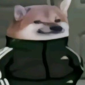 ALBERlCHK's tweet photo. ooc.  i  kinda  of  forget  this  account  exists  sometimes  lmk   if  someone  wants  to  write https://t.co/s5zua9gNWa