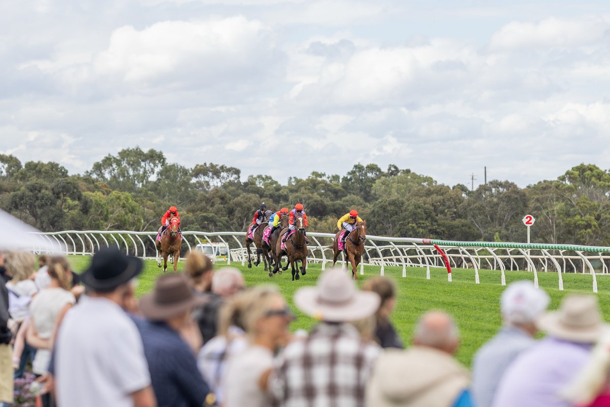 Racing SA (@racingsa) on Twitter photo No one quite knows what day it is between Christmas and New Years but we know that there is mid-week racing today at <a href="/StrathalbynClub/">Strathalbyn Racing Club</a> 🤔🏇
Lincoln Moore has run his eye over the fields and picked out a couple of best bets 🤑
BEST BETS | bit.ly/47gYD5w No one quite knows what day it is between Christmas and New Years but we know that there is mid-week racing today at <a href="/StrathalbynClub/">Strathalbyn Racing Club</a> 🤔🏇
Lincoln Moore has run his eye over the fields and picked out a couple of best bets 🤑
BEST BETS | bit.ly/47gYD5w