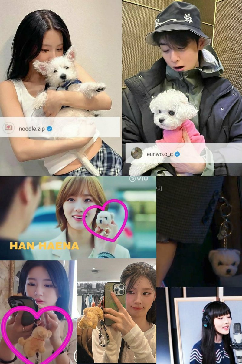 feliceunwoo's tweet photo. Timing 🎤💞 🐶💙💚🤭 yes perfect chemisty & always connected to each other in drama project & real life #CHAEUNWOO #MIYEON #PARKGYUYOUNG #MINNIE #AGoodDayToBeADog #ASTRO #GIDLE #Timing #Chemistry #mbcdrama #MBC #JinSeowon #HanHaena https://t.co/XxtL7pkoEI