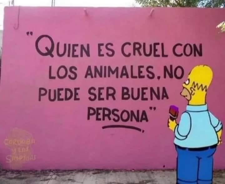 DiloConPerritos's tweet photo. Con los perritos* https://t.co/4AFt2u5uos