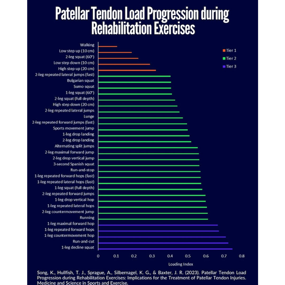 Patellar Tendon Load Progression during Rehabilitation Exercises: Implications for the Treatment of Patellar Tendon Injuries

tinyurl.com/3w37nr49