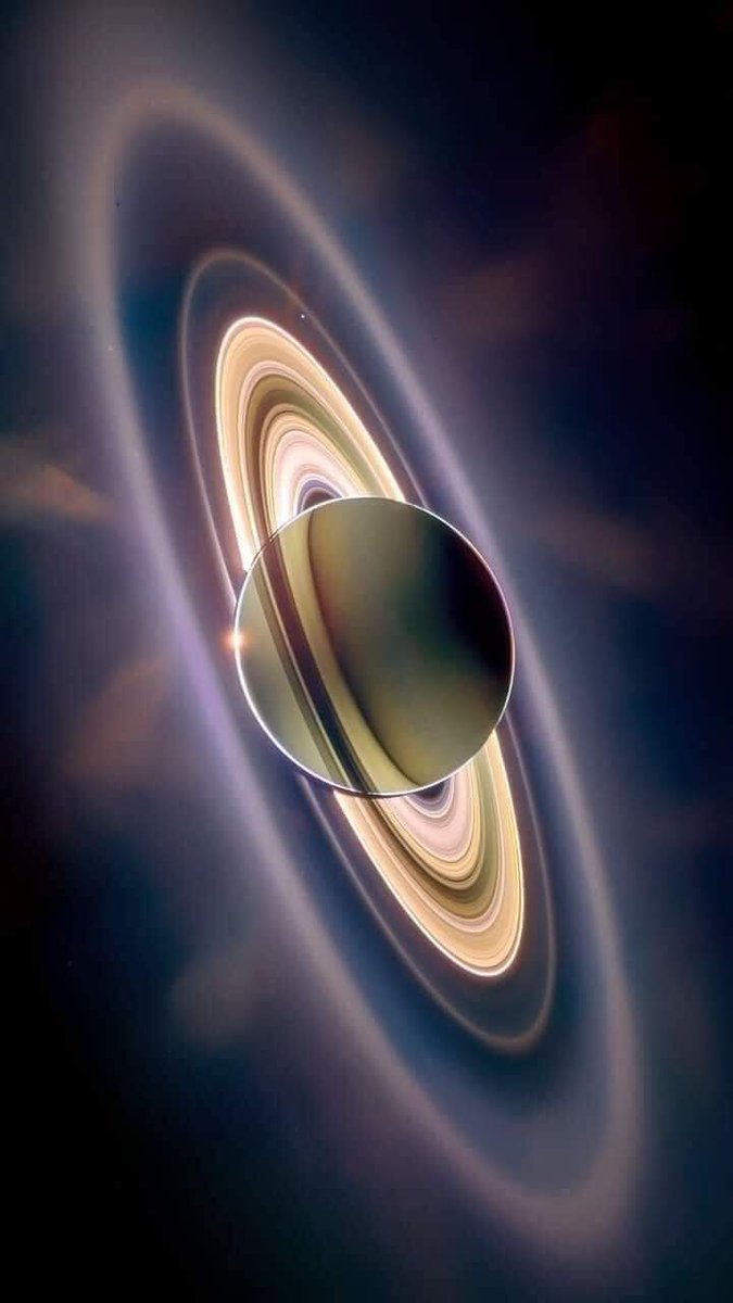 Amazing_Xpace tweet picture