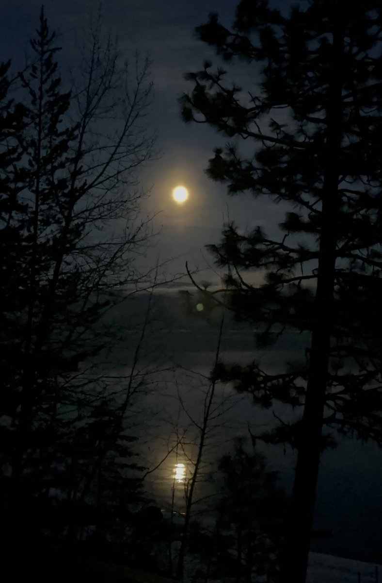 memphis_tom's tweet photo. The #fullcoldmoon rising over #payettelake #mccallidaho https://t.co/YOyR1AE9z3