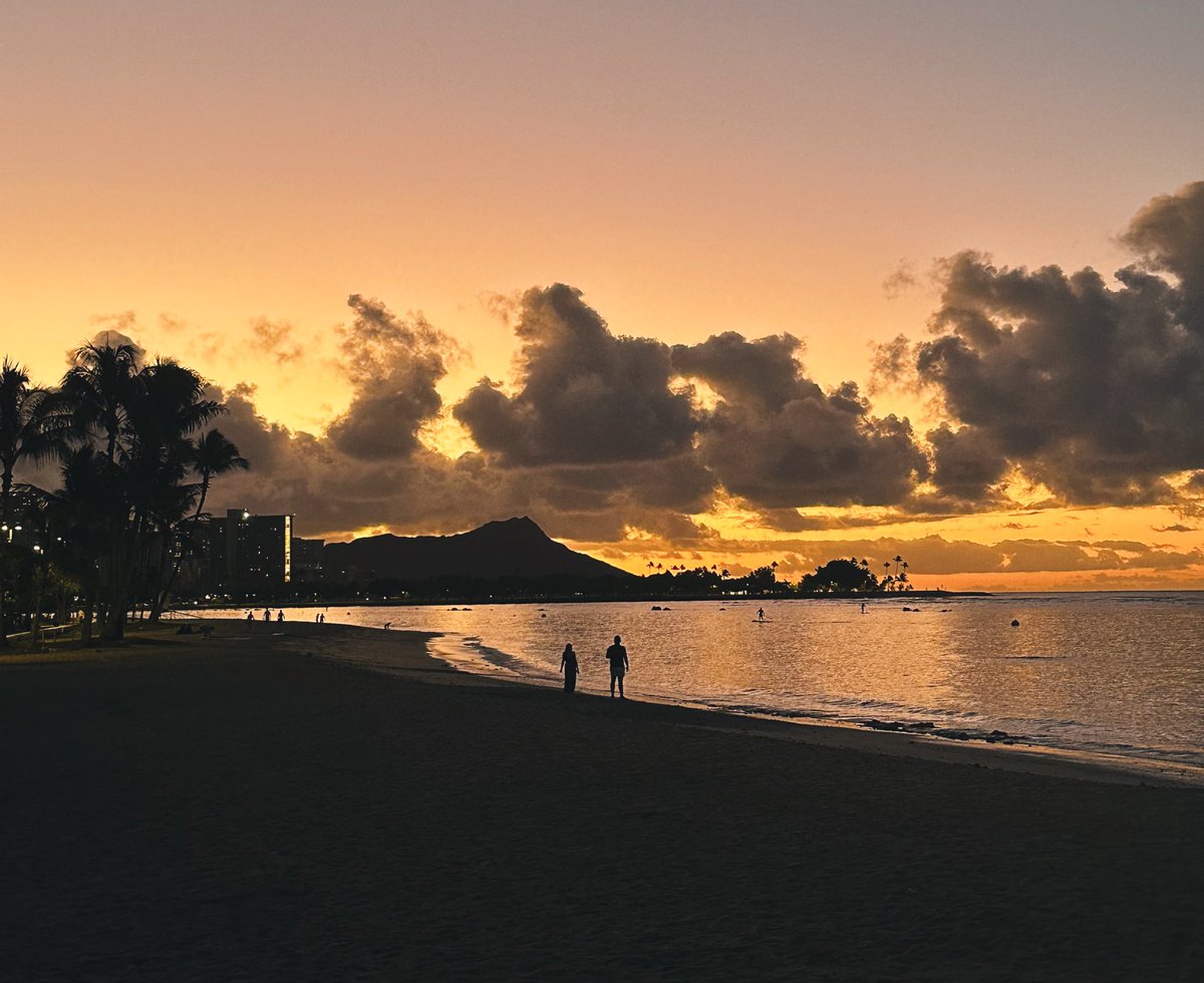 TiredLawGrad's tweet image. Out of office ✌🏼