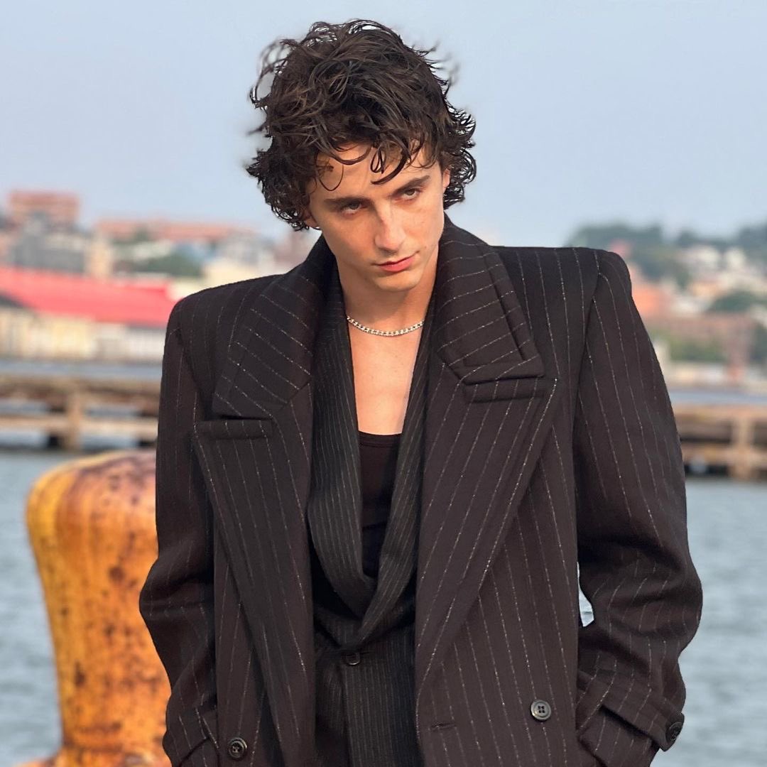 kylieversac's tweet photo. happy timothée chalamet day!! https://t.co/saiZq6pfZm