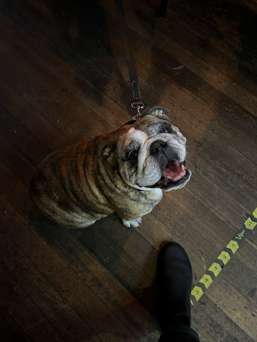 At the point where if you don’t look at me like Bailey does I’m Irish goodbye-ing and ghosting