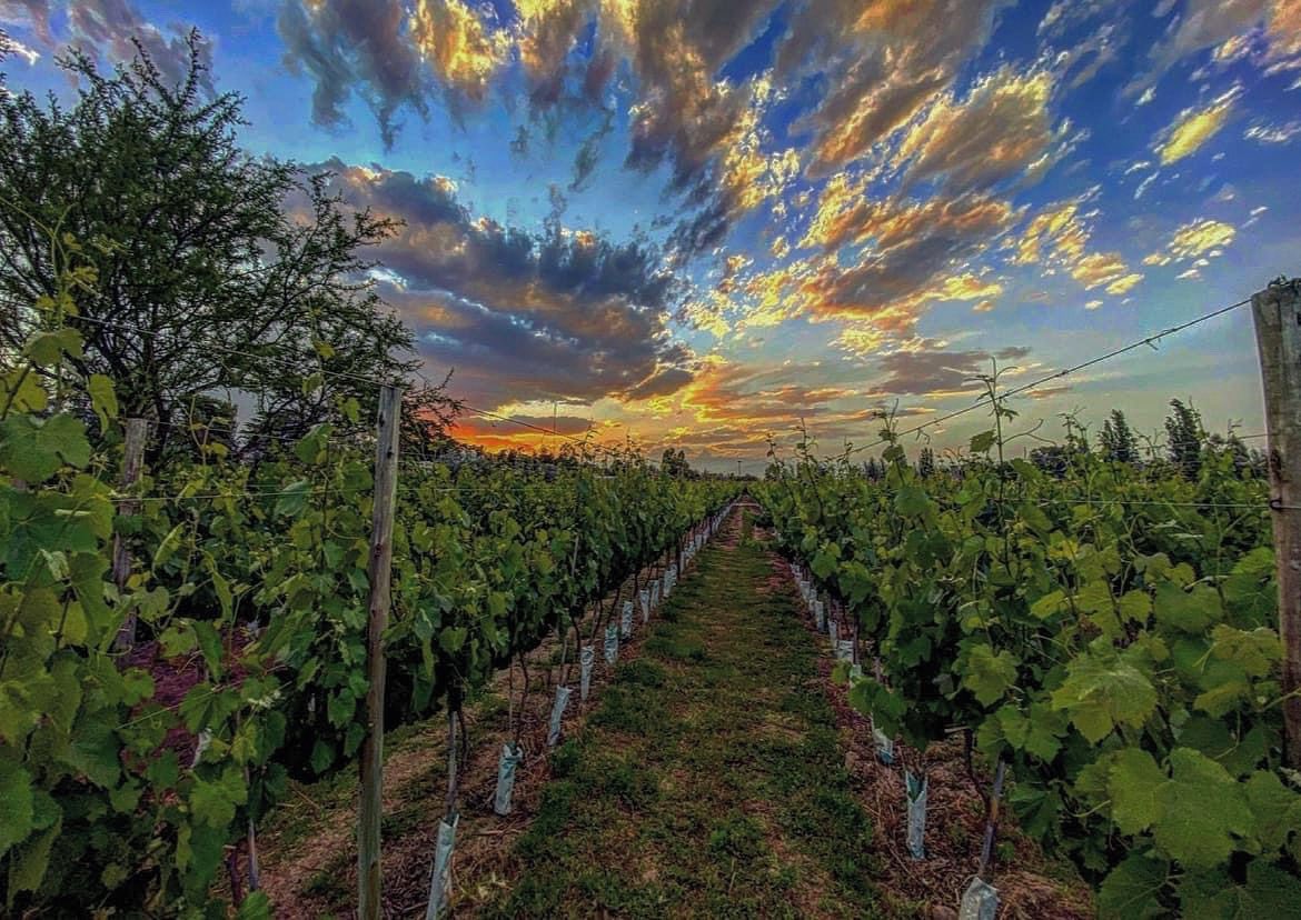 Alejandro Vigil tweet media