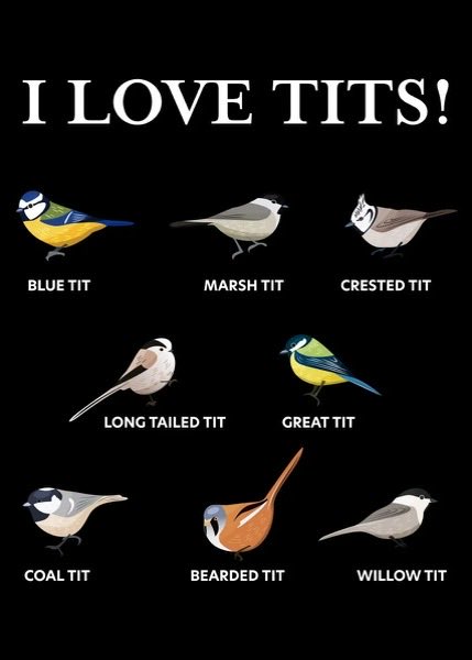 I really do! All the titties! https://t.co/GWrRVI2Dyh<a href="/tag/sexy"class="tags"><span>#sexy</span></a><a href="/tag/pussy"class="tags"><span>#pussy</span></a><a href="/tag/milf"class="tags"><span>#milf</span></a><a href="/tag/nudes"class="tags"><span>#nudes</span></a><a href="/tag/swinger"class="tags"><span>#swinger</span></a><a href="/tag/nudeoutdo"class="tags"><span>#nudeoutdo</span></a>