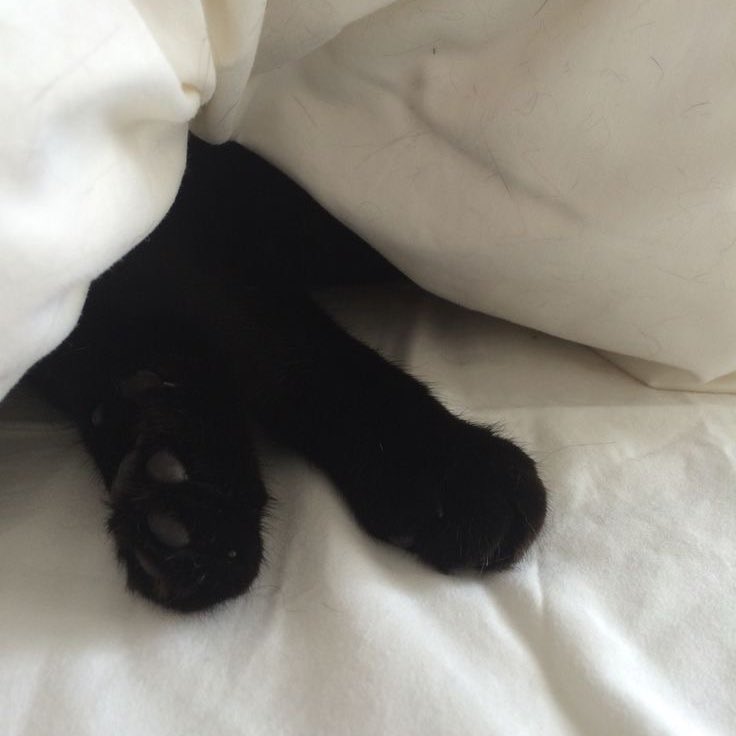 ⊹ ⋆˚ ଽ ᘻ ᧉׅ Ɩ Ɩ ⅈ ౿ ⍤ ഒ tweet media