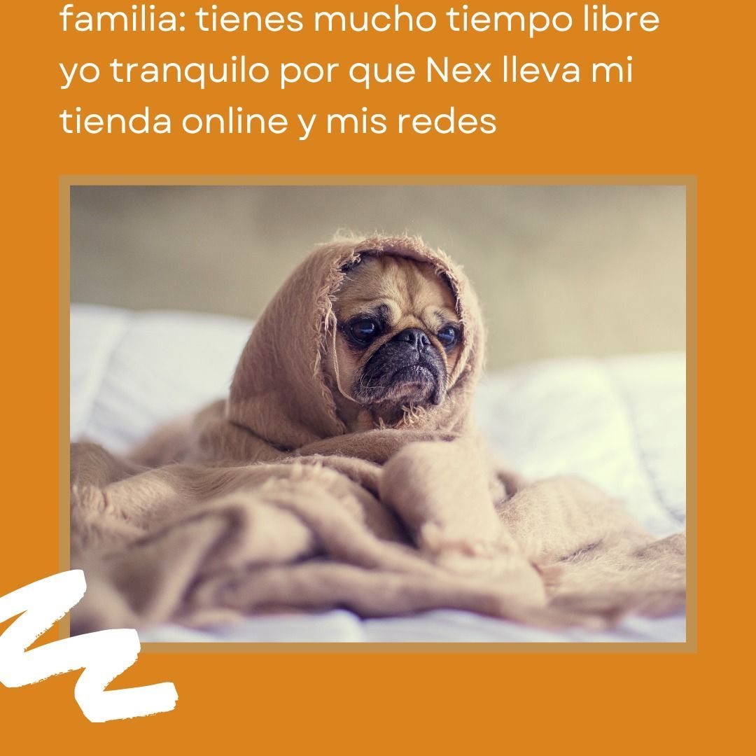 Nex_CG's tweet photo. tranquilidad nivel Nex Consulting Group! 🌐✨ Nosotros nos encargamos de la estrategia de marketing para que tú solo disfrutes de ver crecer tu tienda online. ¡Relájate y deja que nosotros hagamos la magia! 💻🚀 #MarketingMágico #EstrategiaECOMaster #Nex_CG https://t.co/1kvYQyJaMh