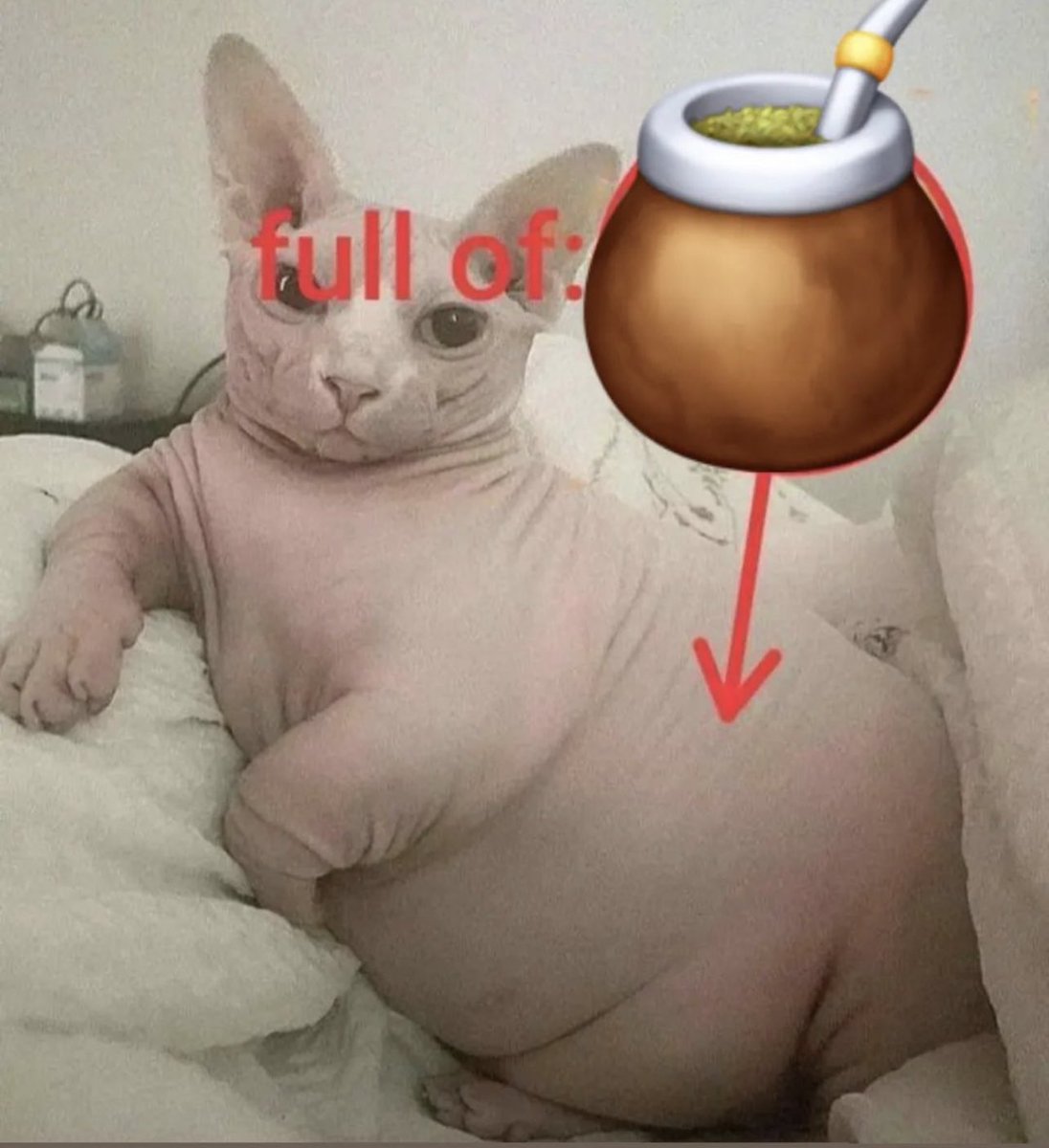 ghostface (@kabroneitor) on Twitter photo 