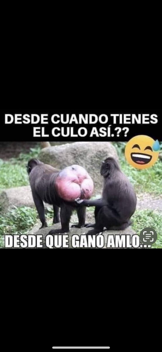 erickhuerta86's tweet photo. @pedroferriz3 @pedroferriz3 el piloto el pitote que te comes mi pedra 😂😂🤣🤡😂🤣 https://t.co/vak9yidBUK