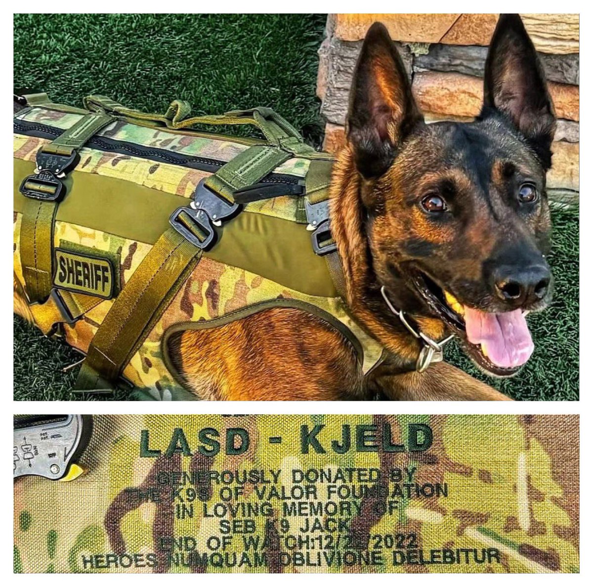 Love4PoliceDogs's tweet image. One of the doggos vested by @k9sofvalor last month.. K9 Kjeld! 
Your donations are constantly at work protecting our K9s! Thank you! 
k9sofvalor.org/vests