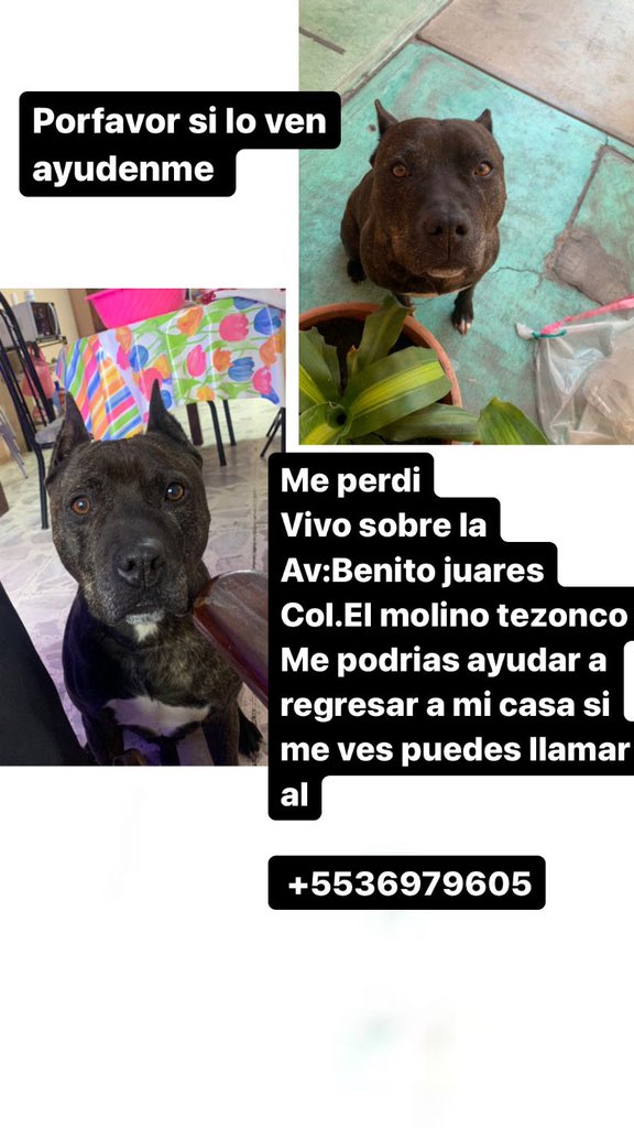 FundacionToby's tweet photo. Amigos podrían ayudarnos a difundir porfi ? https://t.co/k5G8bJaWfQ