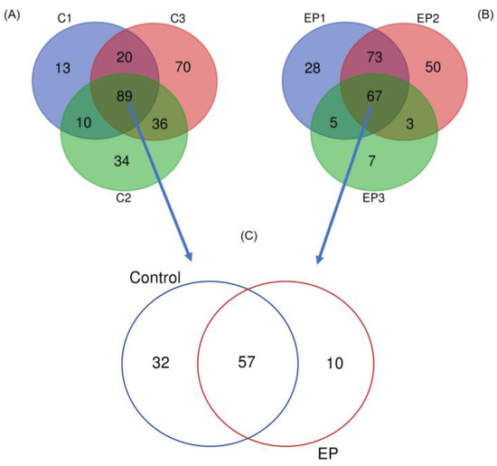 Fishes_MDPI's tweet photo. 🥳#FishesMDPI #NewPaper in 2023!
🐟"Microencapsulation of #Bacillussubtilis E20 Probiotic, a Promising Approach for the Enrichment of #IntestinalMicrobiome in #WhiteShrimp, Penaeus vannamei" by Ann-Chang Cheng et al.
🔗https://t.co/raxvDj6Hpa
📌#microencapsulation #probiotic https://t.co/ltglYvtFaG