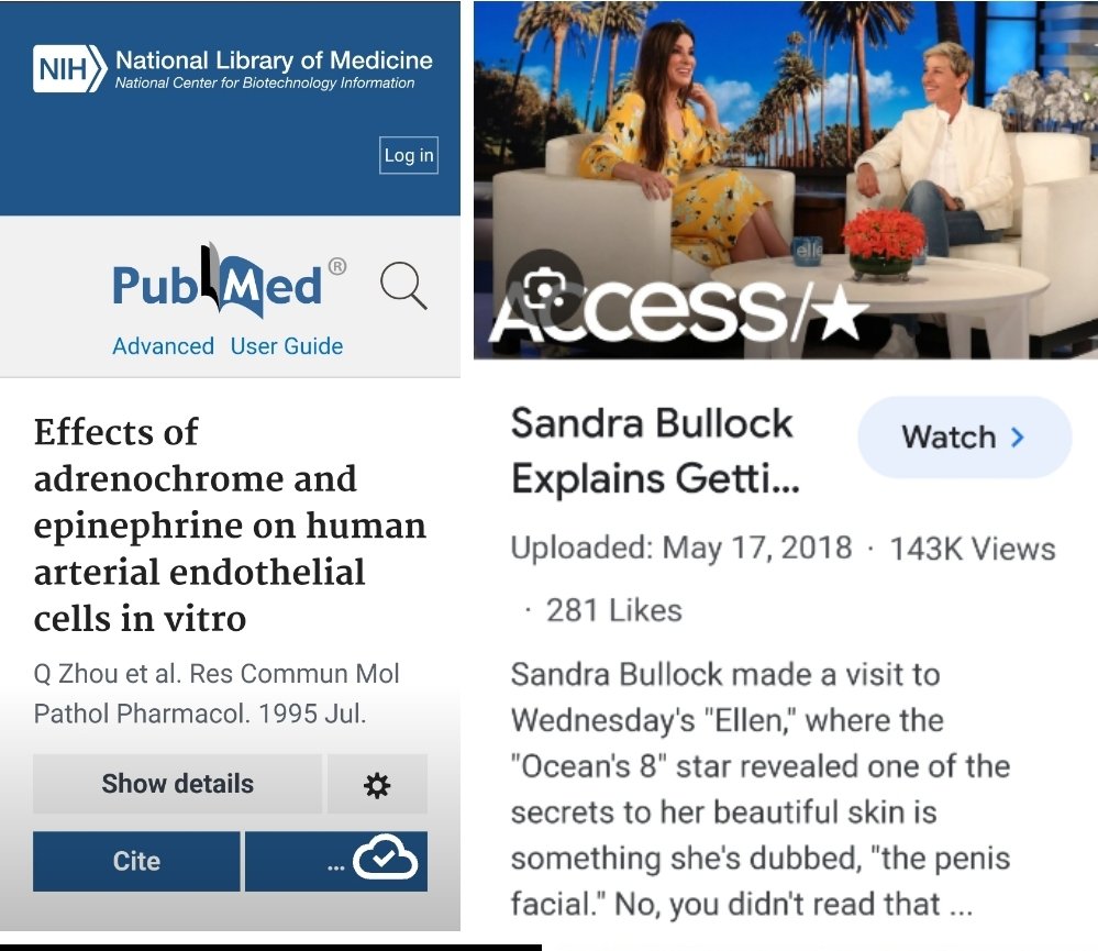 Stacy Stone tweet media