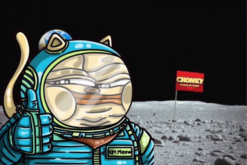 commandplusp's tweet photo. @andrewai @solana $Chonky belongs on Coinbase. https://t.co/h32oEqd2Se