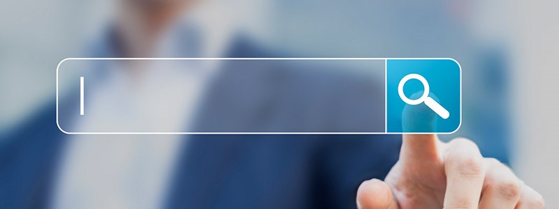 Serina Fishlock 📂 tweet media