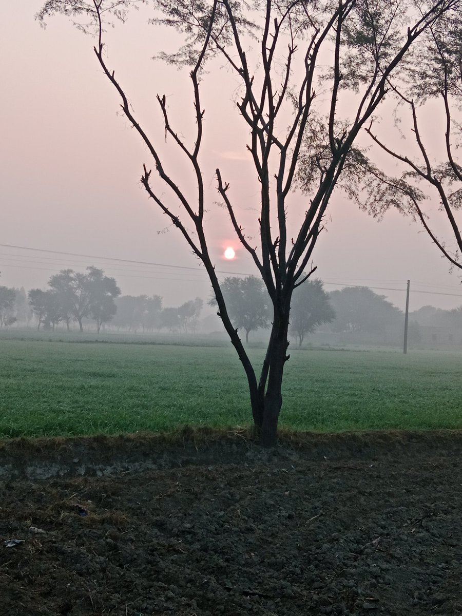 السلام علیکم ورحمتہ اللہ وبرکاتہ
صبح بخیر
🌹🌾🌼꧁꧂❤👑꧂🌿☘️🍀🌹
❤👑اللَّهُمَّ صَلِّ وسَلِّمْ وَبَارِكْ ❤👑عَلَى سَيِّدِنَا مُحَمَّدٍﷺ ❤
وَعَلَى آلِهِ ❤🌼🌻🪴وصَحْبِهِ وَسَلِّمْﷺ❤
❤👑رزقنا اللــــــــــه واياكم شفاعته ومرافقته في الجنة..{ﷺ}◎