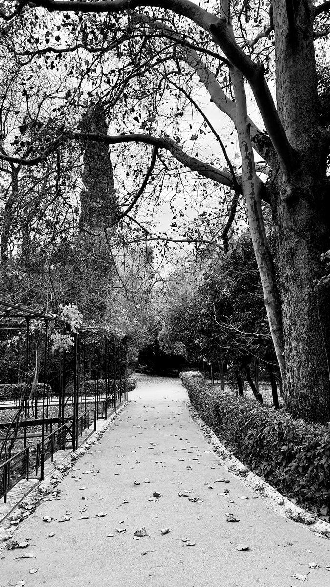 nikosinath's tweet photo. In the national garden https://t.co/VtsHJ1Lwa2
