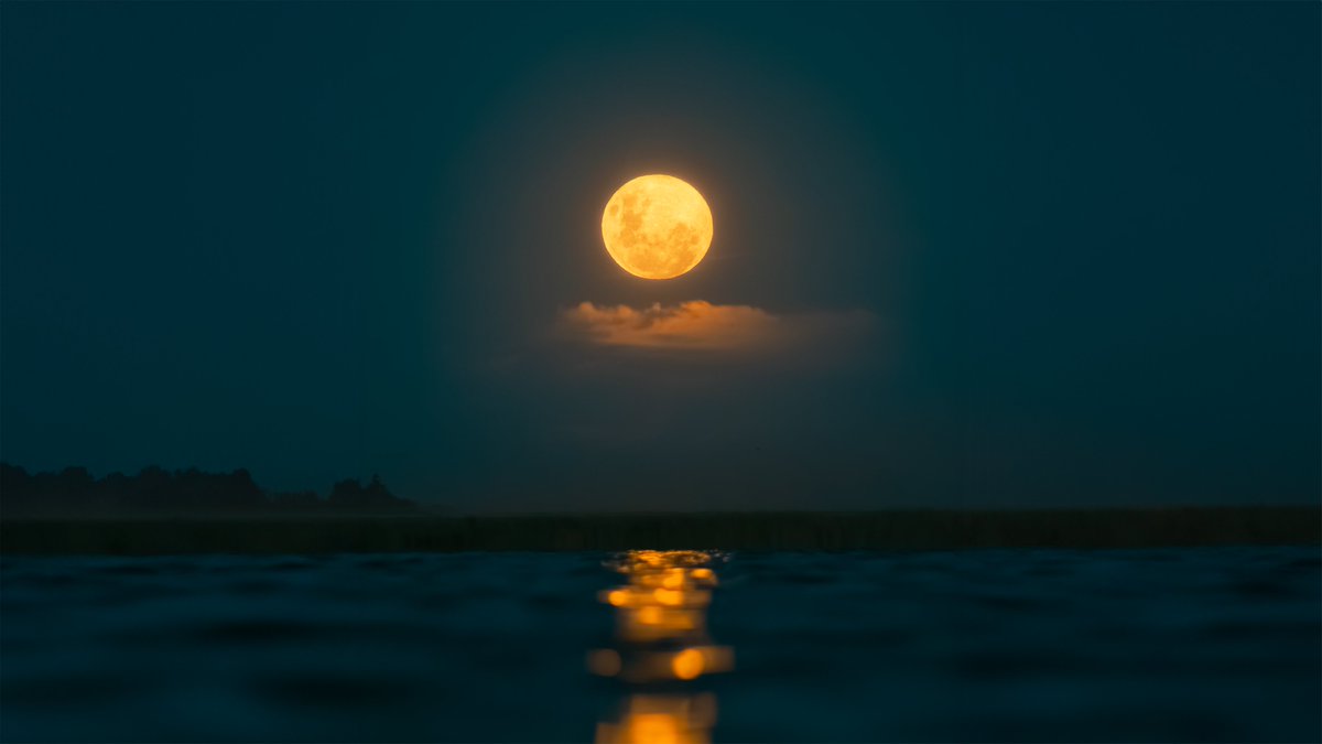 Manu_2700's tweet photo. Luna llena en Cáncer 🦀 la última del año ✨ https://t.co/mOzcj9r0bo