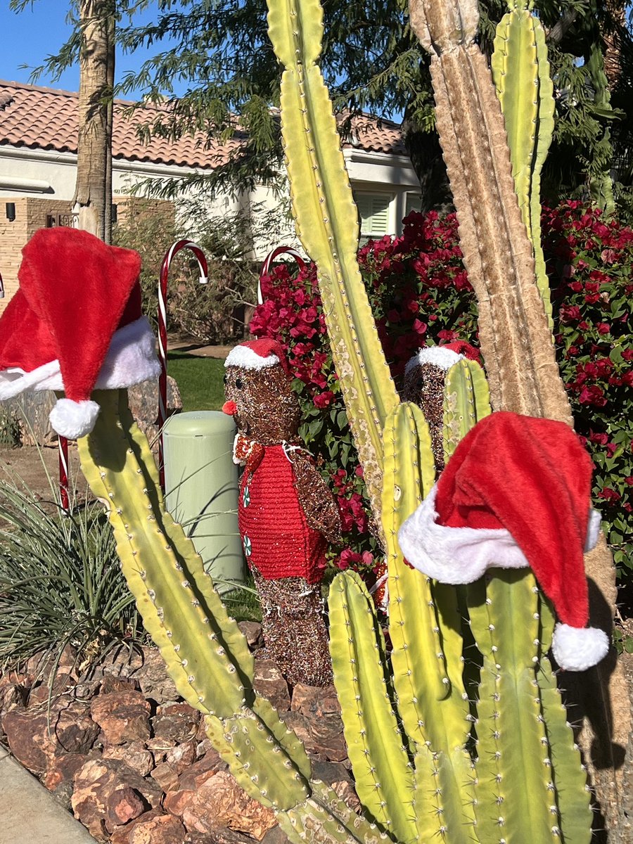 Christmas in the desert! By which I mean Palm Springs in Southern California. My daughter woke up a little disappointed and said “there’s no snow.” I fake comforted her because Christmas is about cactus!