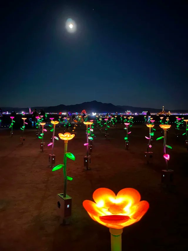MakerfabsTech's tweet image. Ever seen flowers this colorful ?🌻#FieldofFlowers is made by fieldofflowers team.
It has been an great honor to be a part of this absolutely marvelous art project  !🎉🎉🎉🥳
This project hardware is based on Makerfabs #ESP32+#Audio  solution😎
more info:reddit.com/r/FastLED/comm…