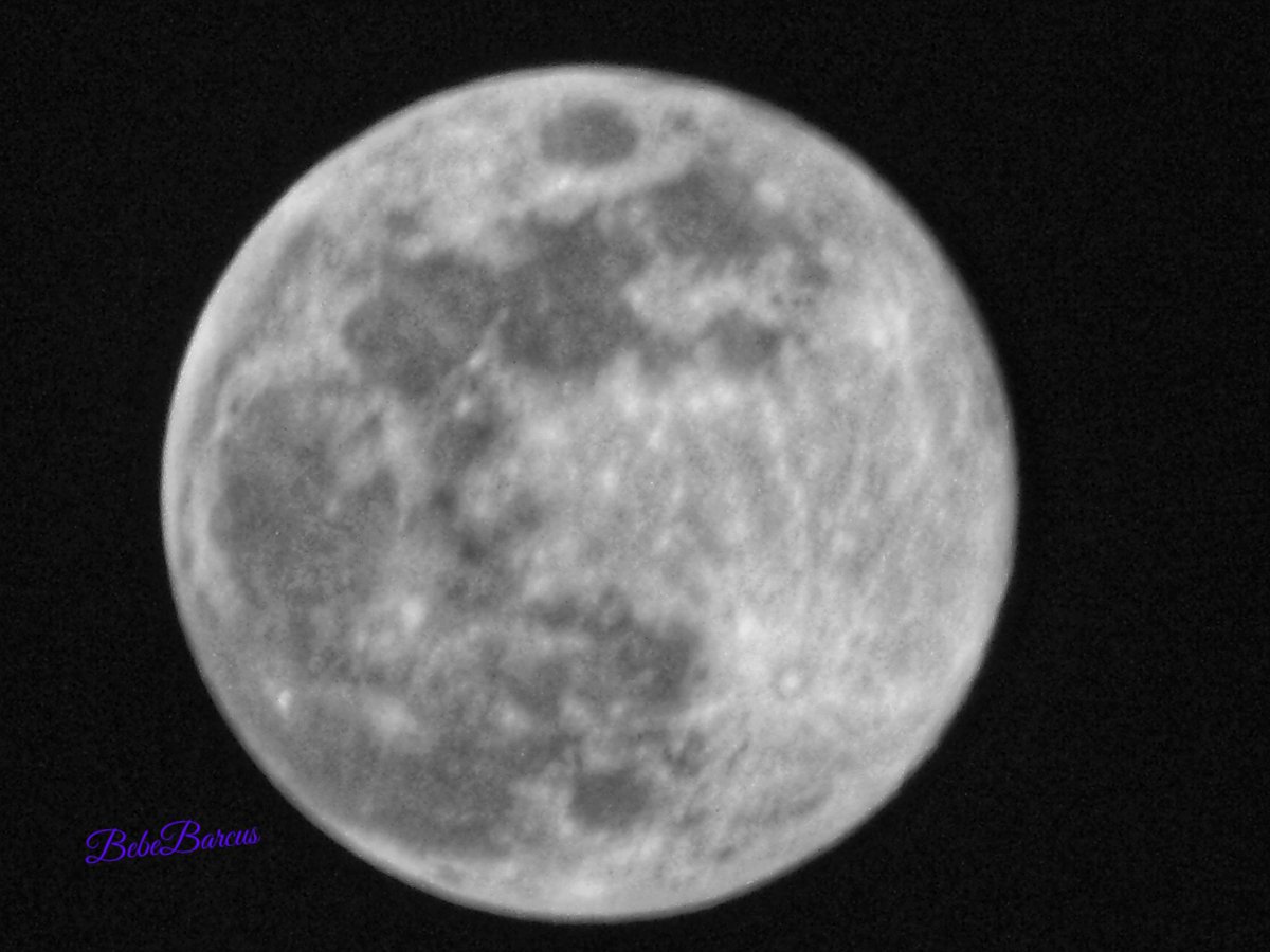 Last full moon of the year, Cold Full Moon.  (Gasparilla Island State Park)  🤩 🌕 🫶🏻
#welivehere #flwx #StormHour #ThePhotoHour #weathernation #TwitterNaturePhotography #TwitterNatureCommunity #florida #beaches #floridastateparks