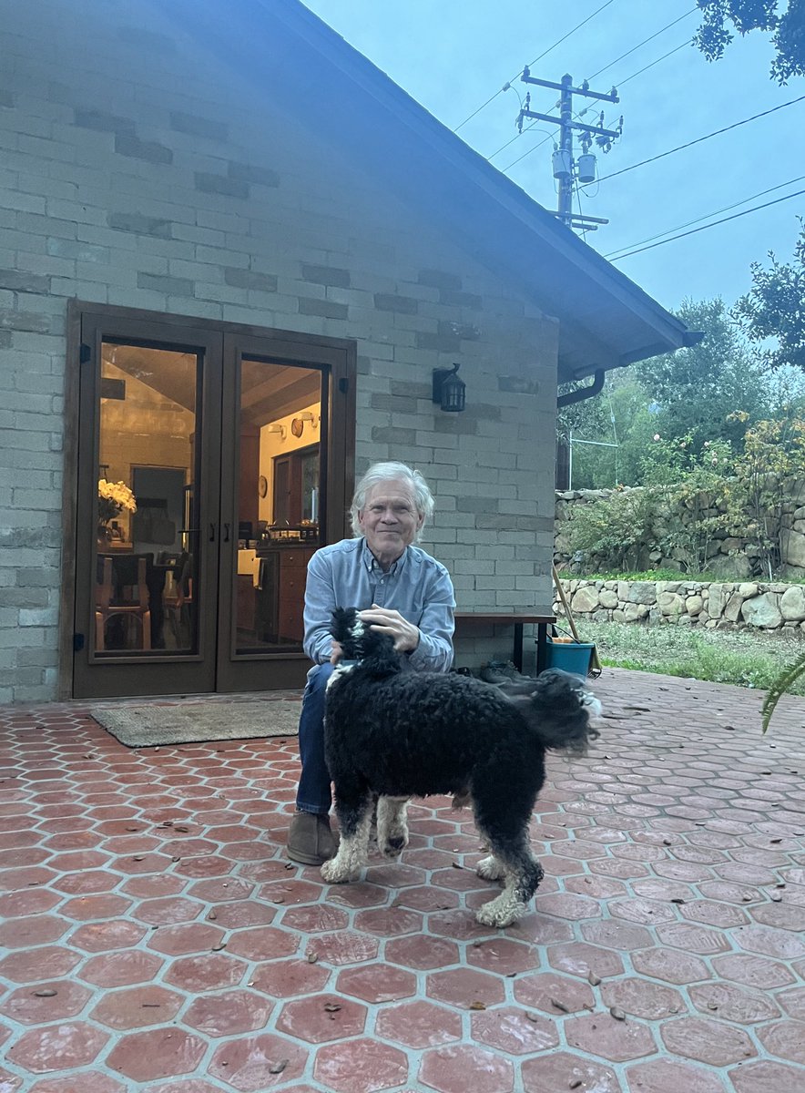 Lila Seidman tweet media