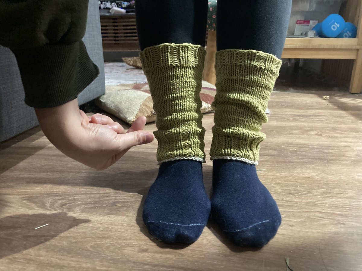 sophia 🍅 🍀 tweet media