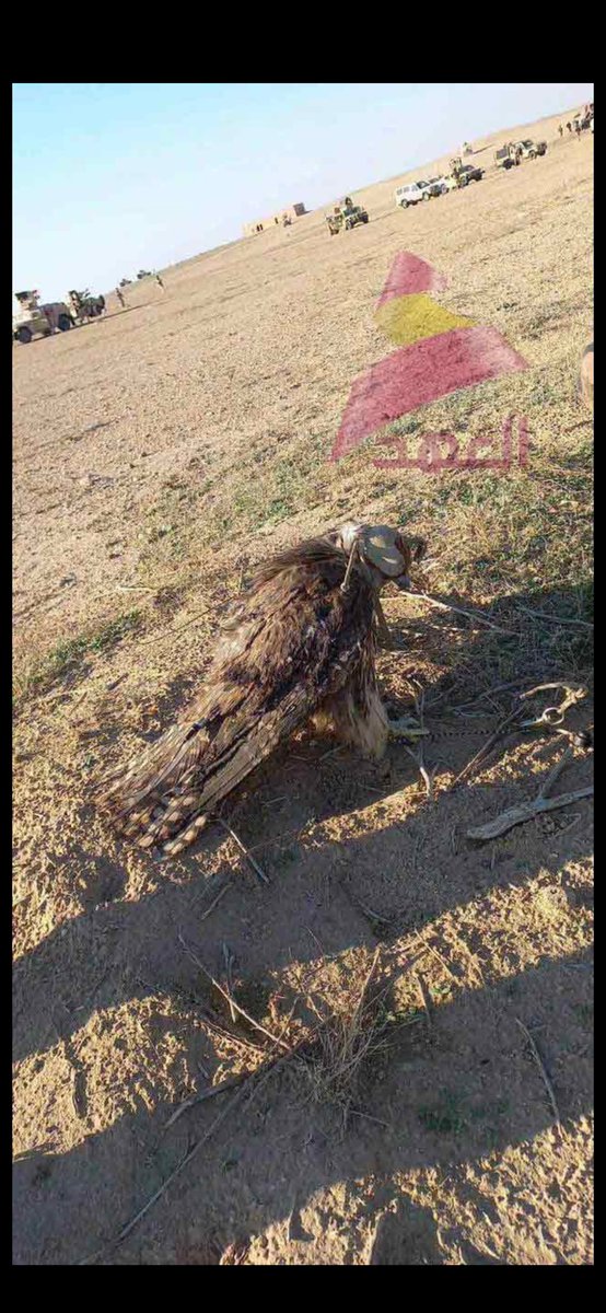 ail_hosin's tweet photo. #أنور_جليدان_الظفيري لو أنه لغم لمات الطير واحترق داخل السيارة 
والله أعلم  #فيصل_جابر_المطيري https://t.co/xxt8mMVihy