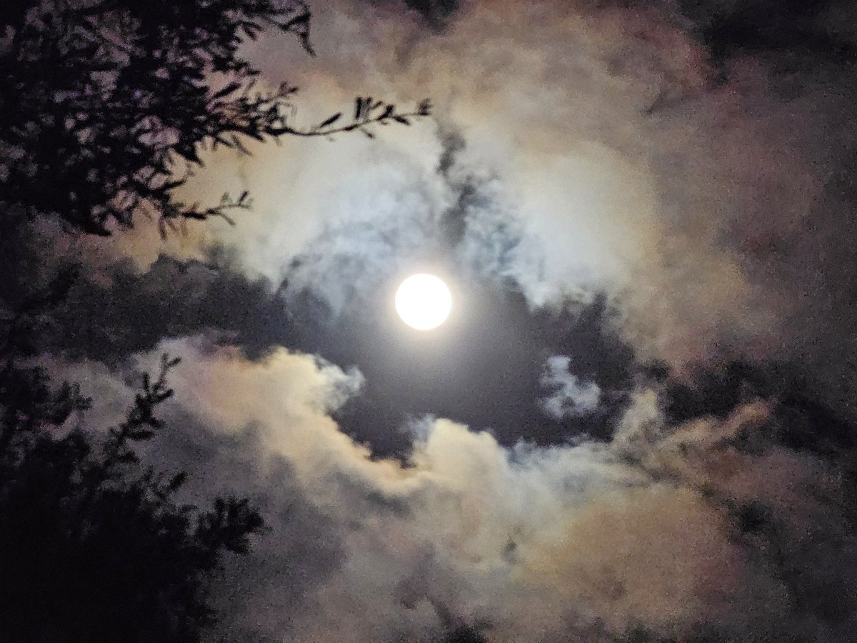 janwriter2's tweet photo. #ColdMoon #fullmoon https://t.co/GGPdSJcQLV