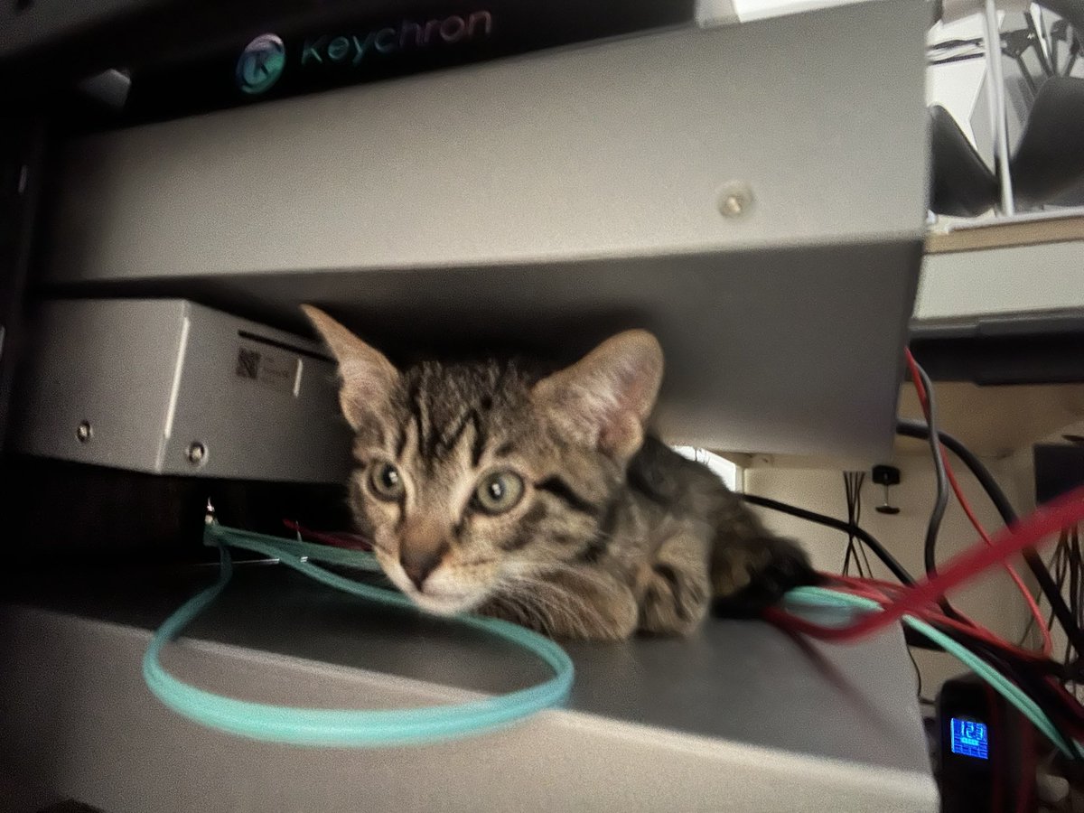 No context Hazz ⛩ tweet media