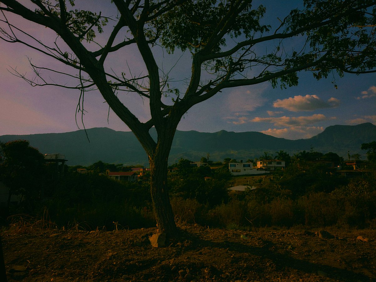 ashedddaisy's tweet image. Still wondering if I'm gonna abandon this account as I annually do to move onto another, for now, take a picture.