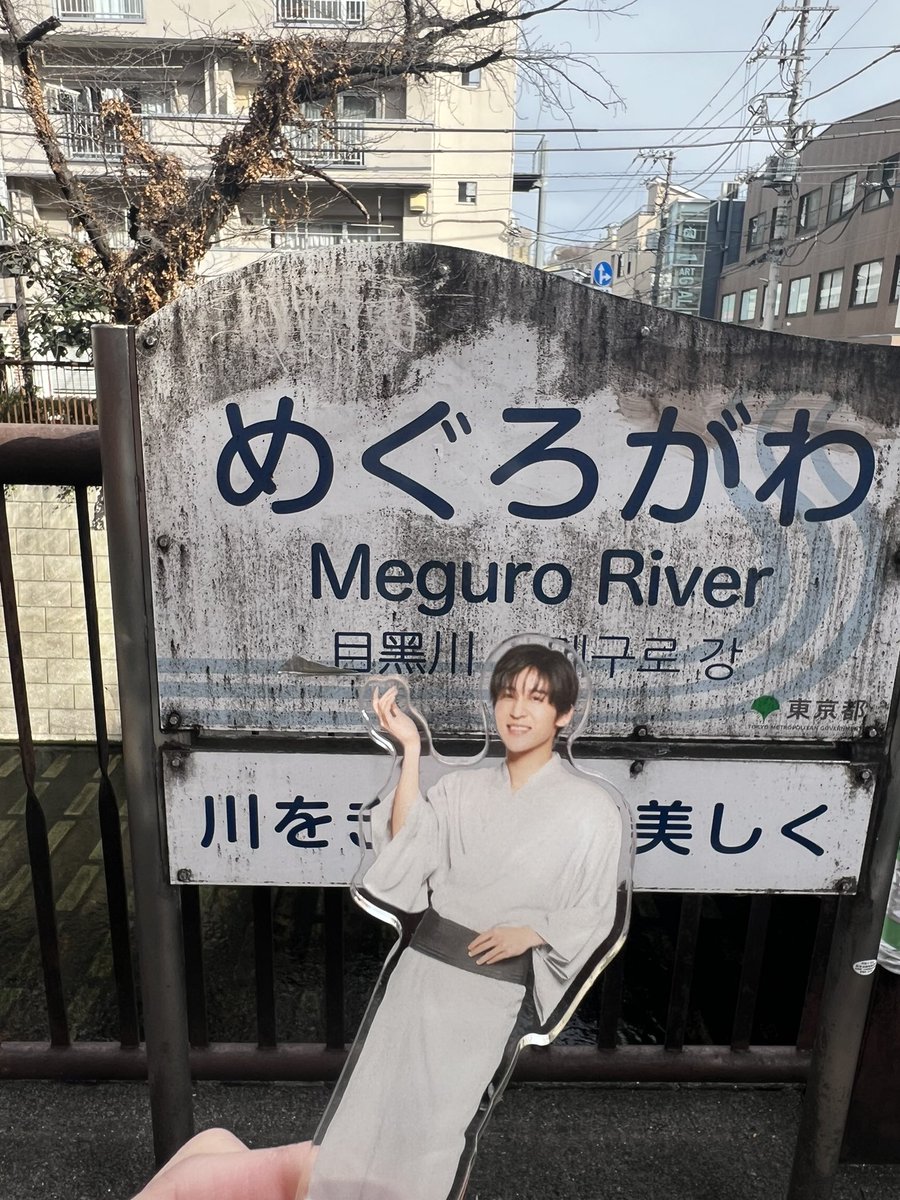 meguro_yukky tweet picture
