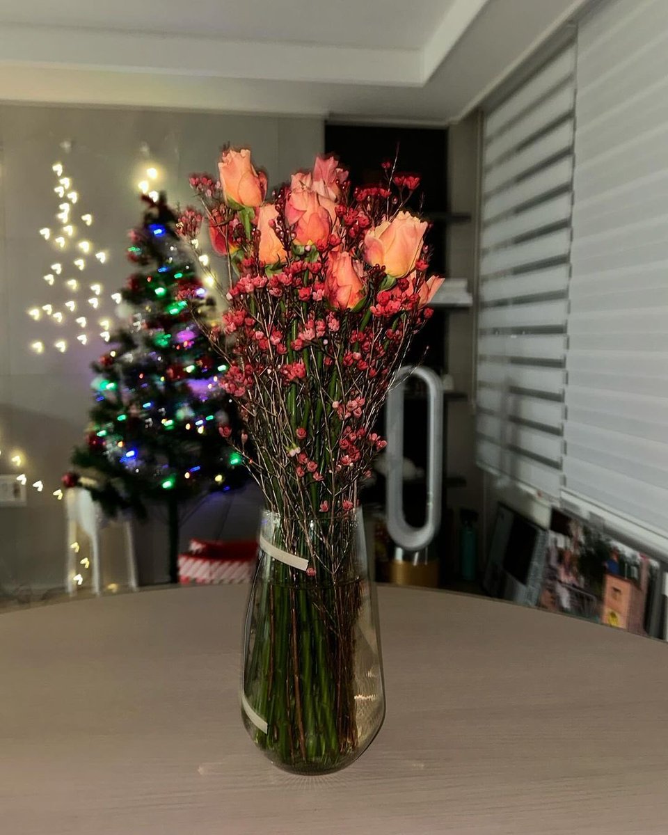 KlMKATY's tweet photo. forget the sleigh bells, there’s a symphony of flavors dancing on my tongue! cookies crumbly and comforting, pasta twirling with festive cheer, and wine warming the tips of my toes. christmas may be officially over, but this corner of my house, still lit by a twinkling tree! https://t.co/99tO2tYi7H