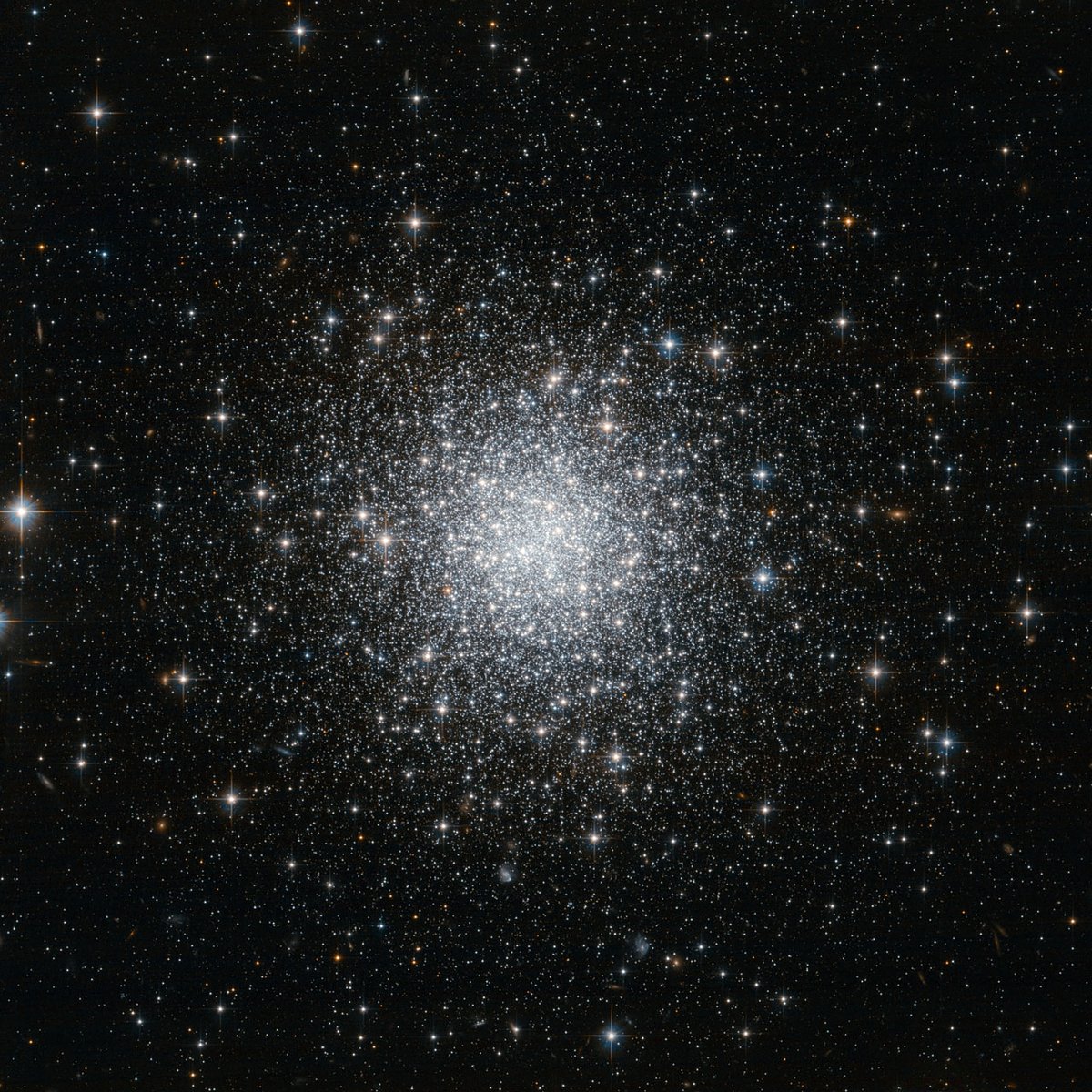 DailySpaceNude's tweet image. Day 346 - Globular Cluster NGC 7006

📷Hubble
#Space #Astronomy #Hubble